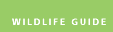 Wildlife Guide 
