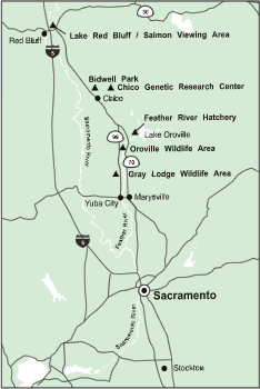 Highway 99/70 Loop