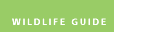 Wildlife Guide