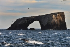 Anacapa Island, Channel Islands NP. Photo by Tim Hauf: 1024x682.66666666667