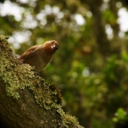 Photo by Mike Warner