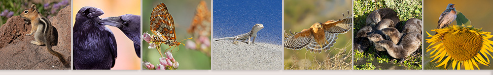 Credit 1 Pam Starr
2 Alyn Robert Brereton
3 Julie MacKinnon
4 Linda Pittman
5 Parham Pourahmad
6 Larry Whiting
7 Randall Finley